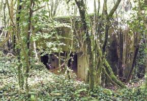 Ligne Maginot - MB53 - (Blockhaus lourd type STG / STG-FCR - Simple) - 