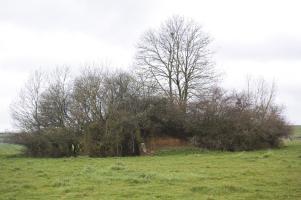 Ligne Maginot - MB161 - (Blockhaus pour canon) - Plus près du blockhaus