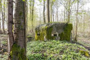 Ligne Maginot - MBA11 - (Blockhaus pour arme infanterie) -                   
