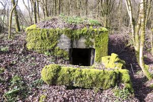 Ligne Maginot - STRANG 1 - (Abri) - 