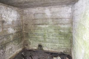 Ligne Maginot - STRANG 1 - (Abri) - 