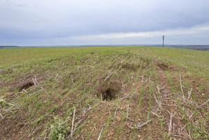 Ligne Maginot - MO3 - HAUT DE SALOMON - COTE 317 - (Observatoire d'artillerie) - Etat 2022