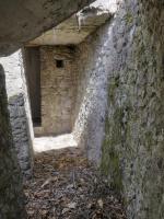 Ligne Maginot - PLANET (Ouvrage d'infanterie) - Tranchée nord ouest
8. Au fond Planet 2, à gauche l'accès à Planet 8.