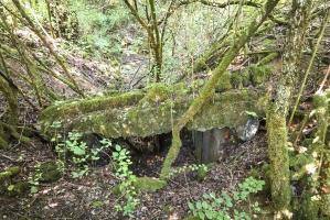 Ligne Maginot - RAVIN DE GRAND VAU - (Blockhaus pour arme infanterie) - 