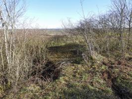 Ligne Maginot - BB306 - (Blockhaus pour arme infanterie) - Le blockhaus vu depuis l'arrière.