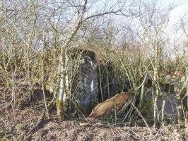 Ligne Maginot - BB306 - (Blockhaus pour arme infanterie) - La façade de tir.