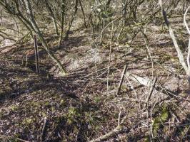 Ligne Maginot - BB305 - (Blockhaus pour arme infanterie) - La tranchée d'accès. On distingue un morceau de voie de 60, utilisée pour renforcé celle-ci ?