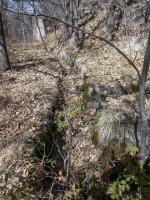 Ligne Maginot - PLANET - (Ouvrage d'infanterie) - Tranchée sud est
14.  A droite accès au Planet 7