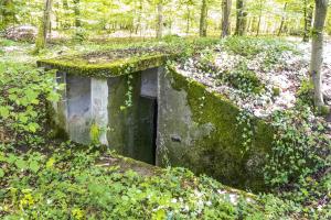 Ligne Maginot - BAMBESCH 3 (6° CIE II/156° RIF) - (PC de Sous-Quartier) - L'entrée