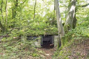 Ligne Maginot - BAMBESCH EST 2 - (Blockhaus pour canon) - 