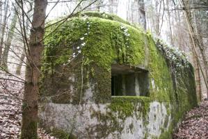 Ligne Maginot - GEBIRGMATTEN SUD - (Blockhaus pour arme infanterie) - 