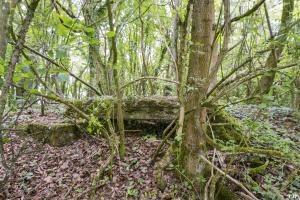 Ligne Maginot - ROUY 2BIS - (Blockhaus pour arme infanterie) - 