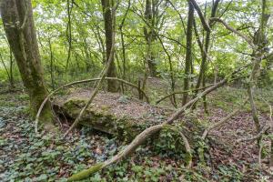 Ligne Maginot - ROUY 2BIS - (Blockhaus pour arme infanterie) - 