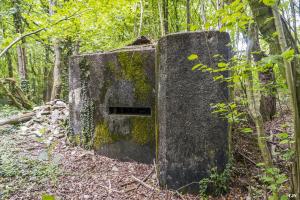 Ligne Maginot - ROUY 3 - (Blockhaus pour arme infanterie) - 