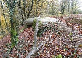 Ligne Maginot - MOLVANGE - A9 - (Ouvrage d'artillerie) - Bloc 2
L'une des deux cloches GFM surplombant la falaise
