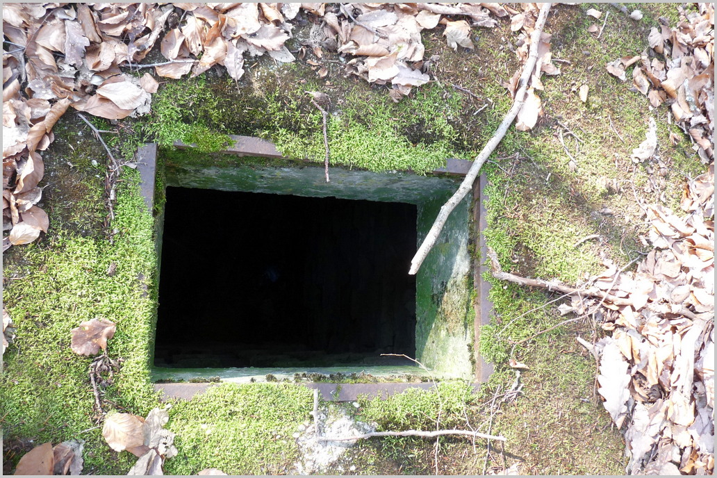 Ligne Maginot - HERBITZHEIM 30 - (Abri) -  - Sylvie Laure LAMBERT