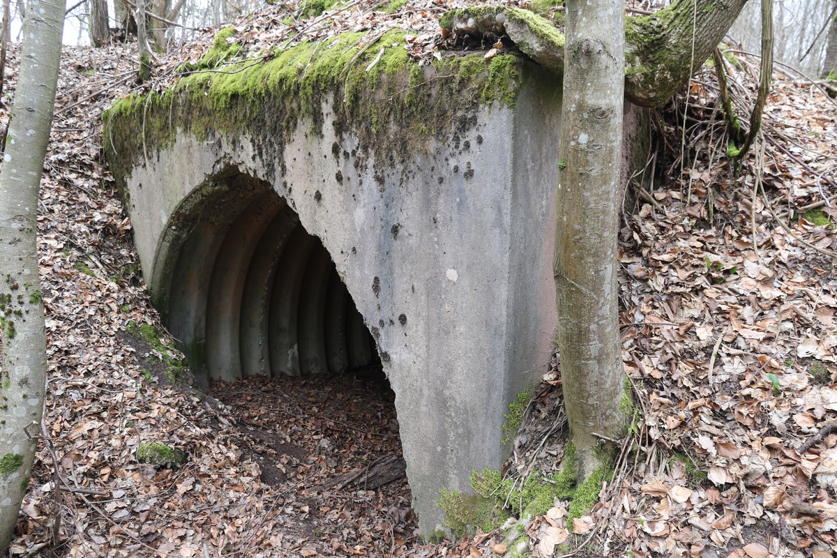Ligne Maginot - MITTELSWALD (CM5/II/82° RMIF - SOUS-QUARTIER BOIS-HACHETTE) - (PC de Sous-Quartier) - L'unique abri trouvé - Alain Perouffe