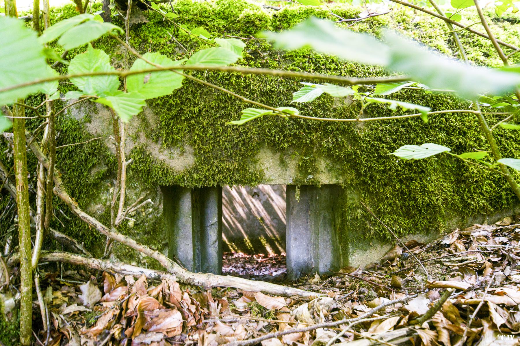 Ligne Maginot - SCHIRMENSTUDEN 6 - (Blockhaus pour arme infanterie) -                           