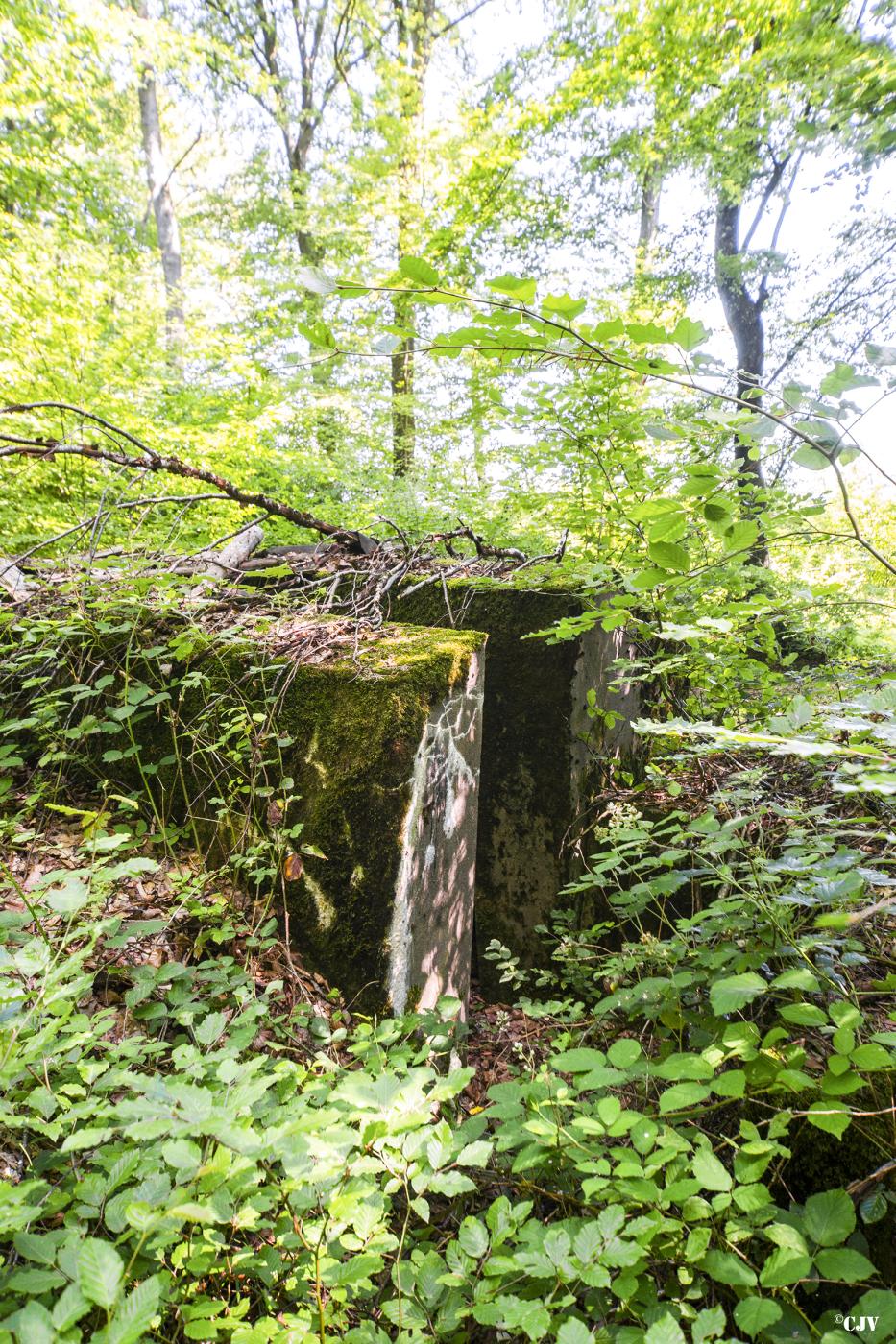 Ligne Maginot - SCHIRMENSTUDEN 6 - (Blockhaus pour arme infanterie) -                            