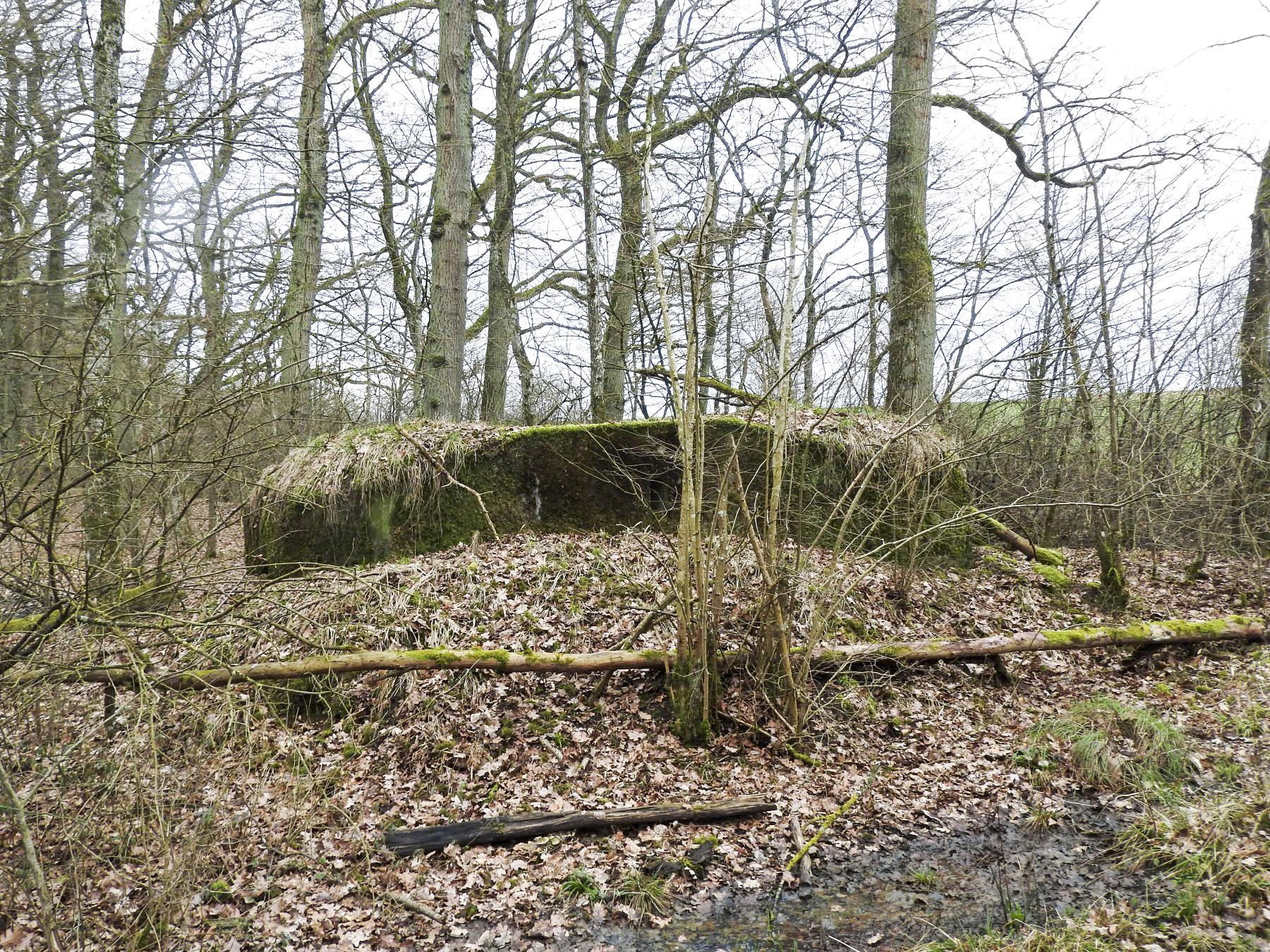 Ligne Maginot - SCHIRMENSTUDEN 10 - (Blockhaus pour arme infanterie) - Une vue d'ensemble du blockhaus. - STENGER Mathieu