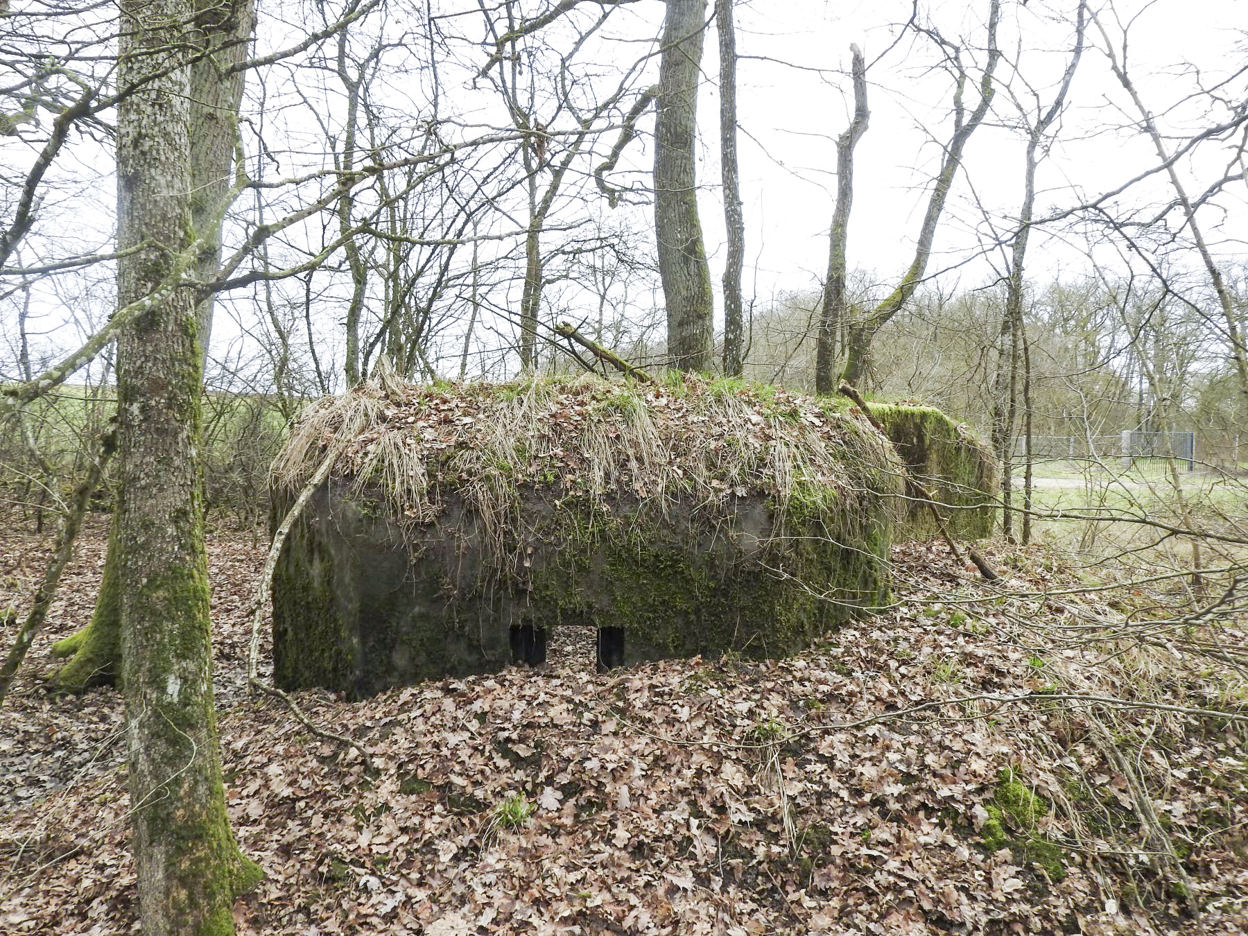 Ligne Maginot - SCHIRMENSTUDEN 10 - (Blockhaus pour arme infanterie) - La façade de tir vers l'Est. - STENGER Mathieu