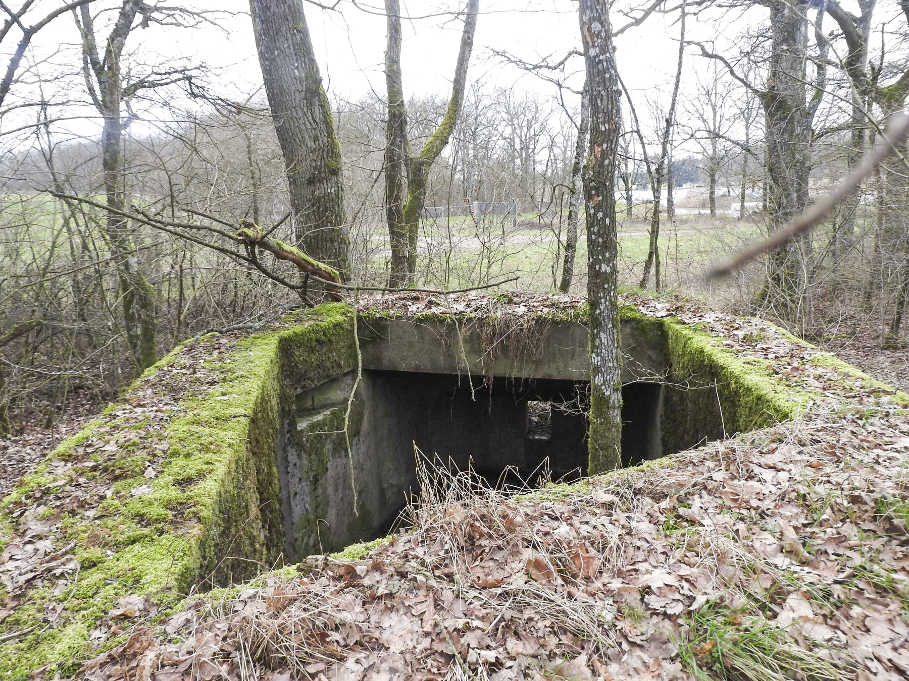 Ligne Maginot - SCHIRMENSTUDEN 10 - (Blockhaus pour arme infanterie) - Une vue du dessus du blockhaus. - STENGER Mathieu
