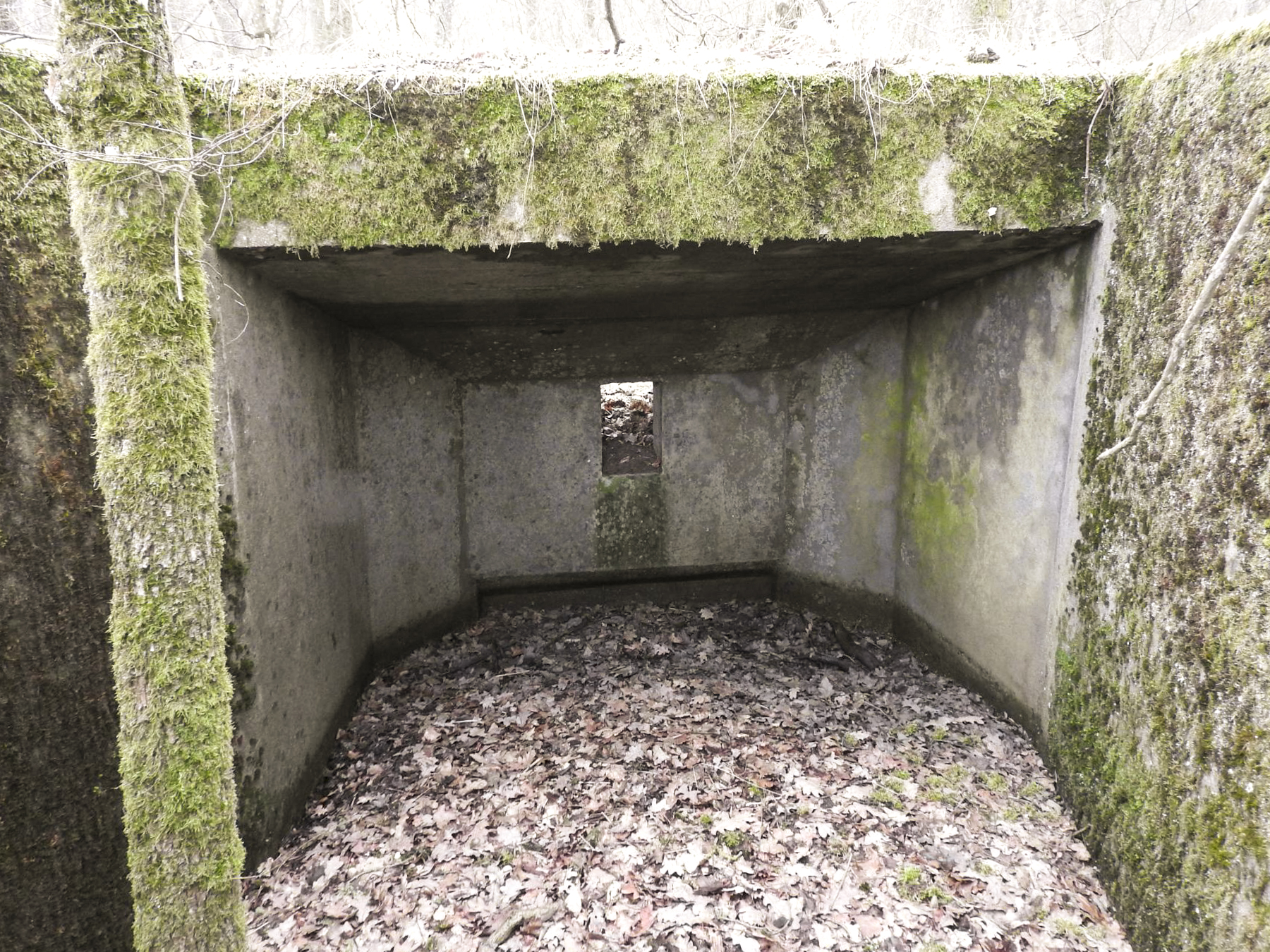 Ligne Maginot - SCHIRMENSTUDEN 10 - (Blockhaus pour arme infanterie) - La chambre de tir vers l'Est. - STENGER Mathieu