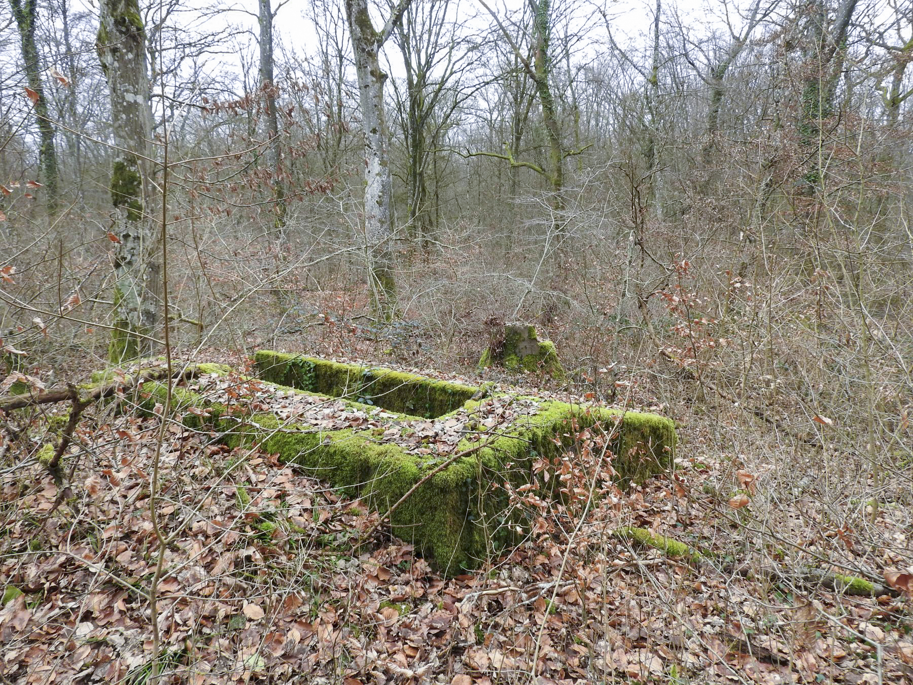 Ligne Maginot - SCHIRMENSTUDEN 11 - (Blockhaus pour arme infanterie) - La vue de l'arrière du blockhaus. - STENGER Mathieu