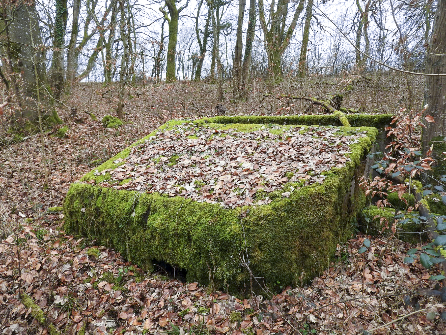Ligne Maginot - SCHIRMENSTUDEN 11 - (Blockhaus pour arme infanterie) - La façade de tir vers le nord. - STENGER Mathieu