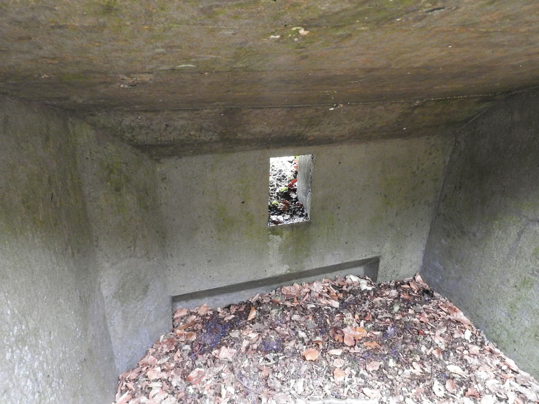 Ligne Maginot - SCHIRMENSTUDEN 11 - (Blockhaus pour arme infanterie) - La chambre de tir. - STENGER Mathieu