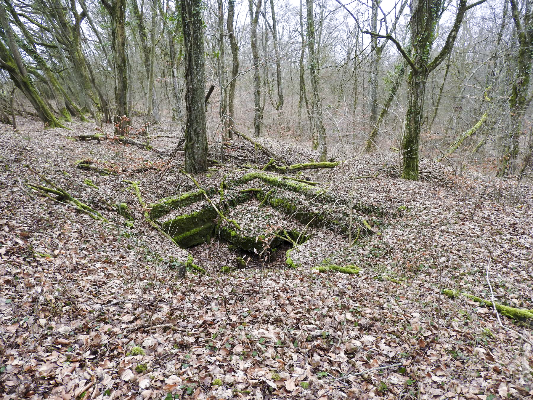Ligne Maginot - SCHIRMENSTUDEN 12 - (Cuve pour canon) - Une vue générale. - STENGER Mathieu