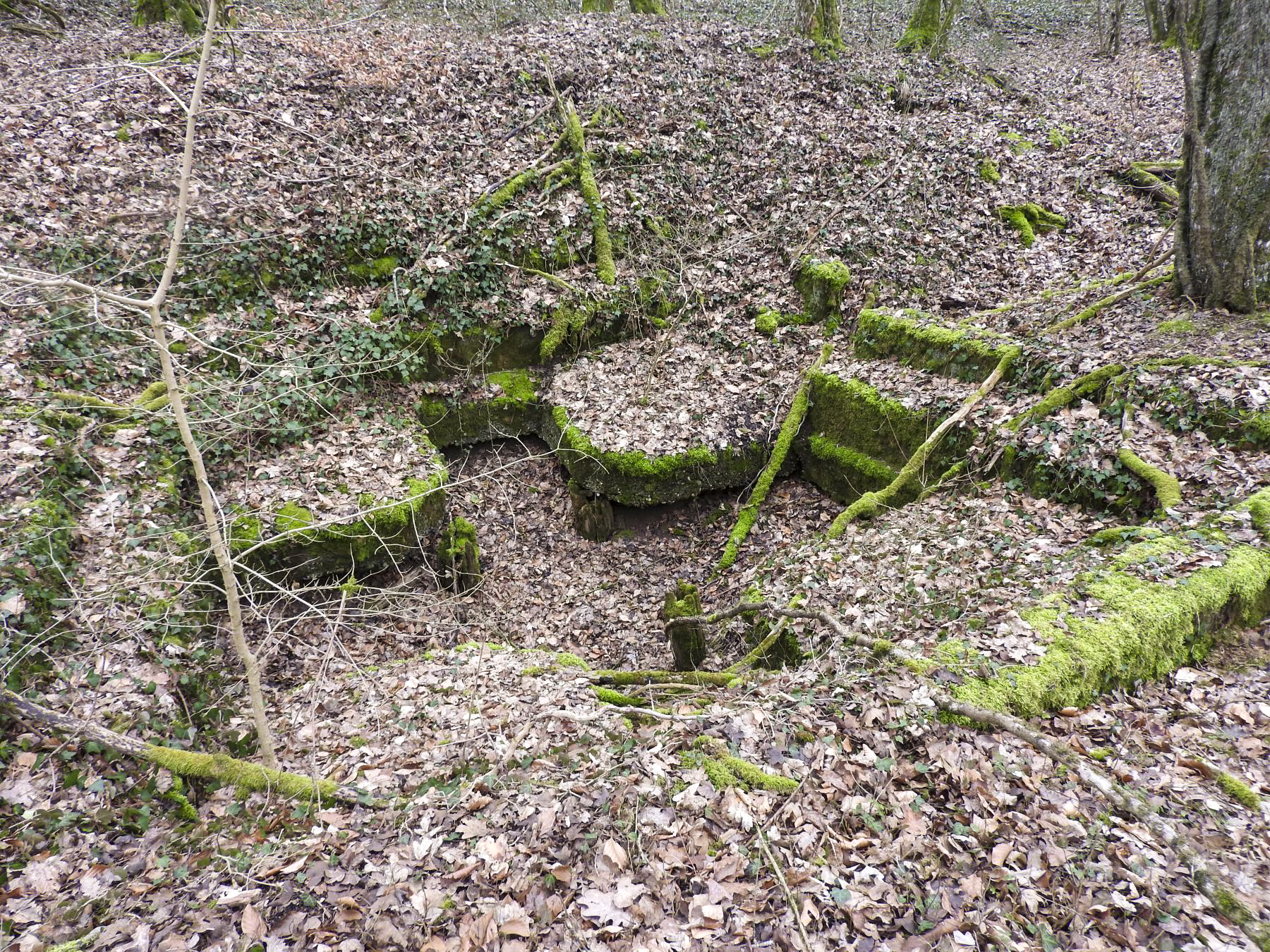 Ligne Maginot - SCHIRMENSTUDEN 12 - (Cuve pour canon) - La vue depuis le nord. - STENGER Mathieu