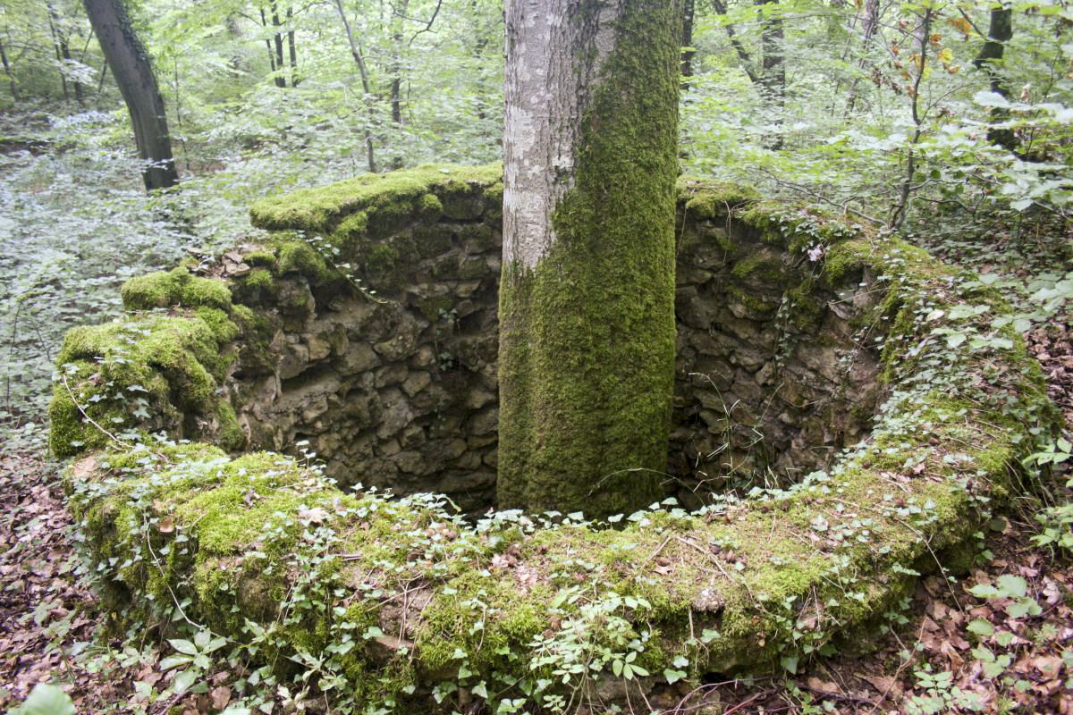 Ligne Maginot - MOLVANGE - A9 - (Ouvrage d'artillerie) - Puits sur le remblai à proximité de l'entrée des munitions. Leur origine et raison reste source de débat ...