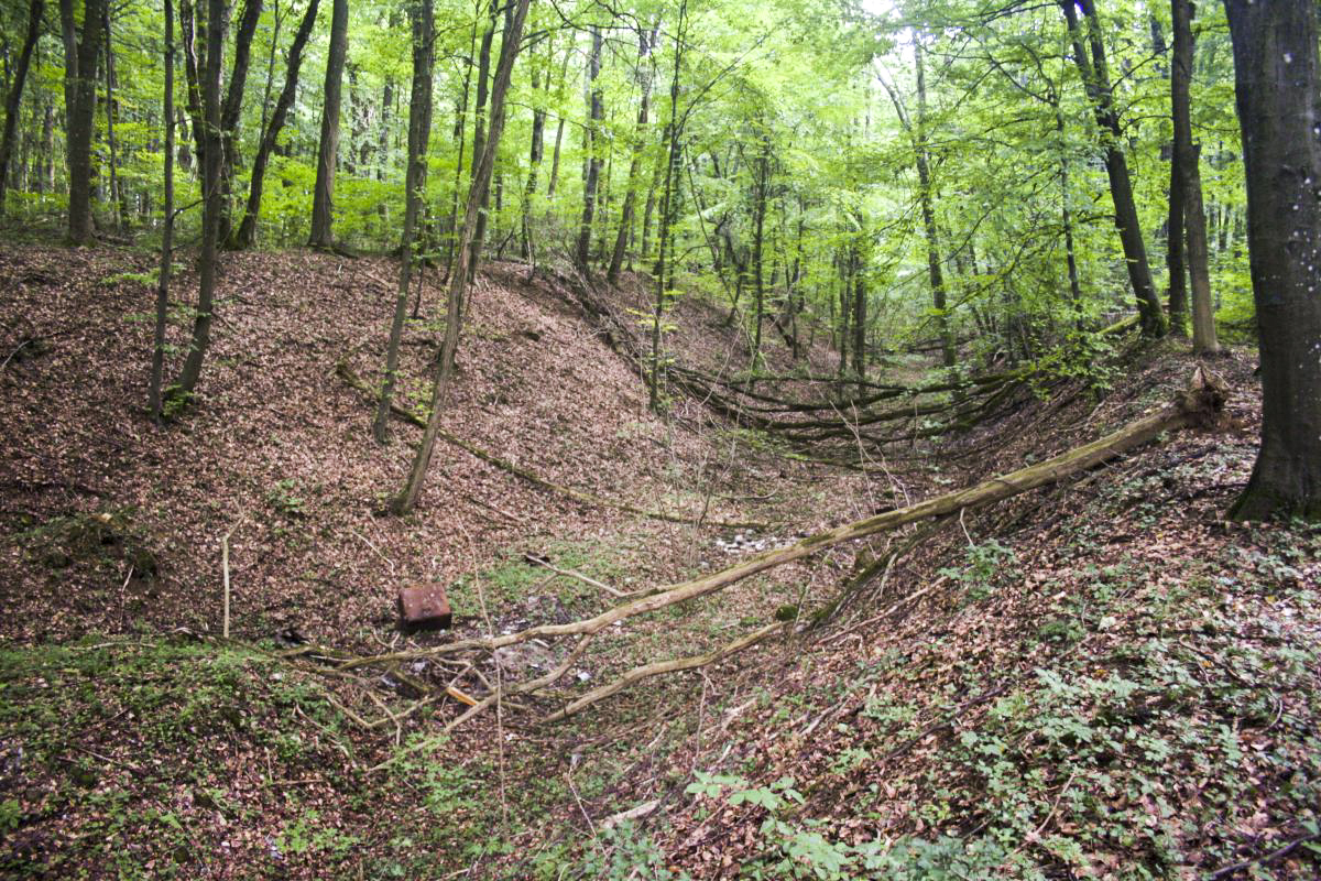 Ligne Maginot - MOLVANGE - A9 - (Ouvrage d'artillerie) - Entrée des Munitions
Tranchée de la voie de 60 partant de l'EM