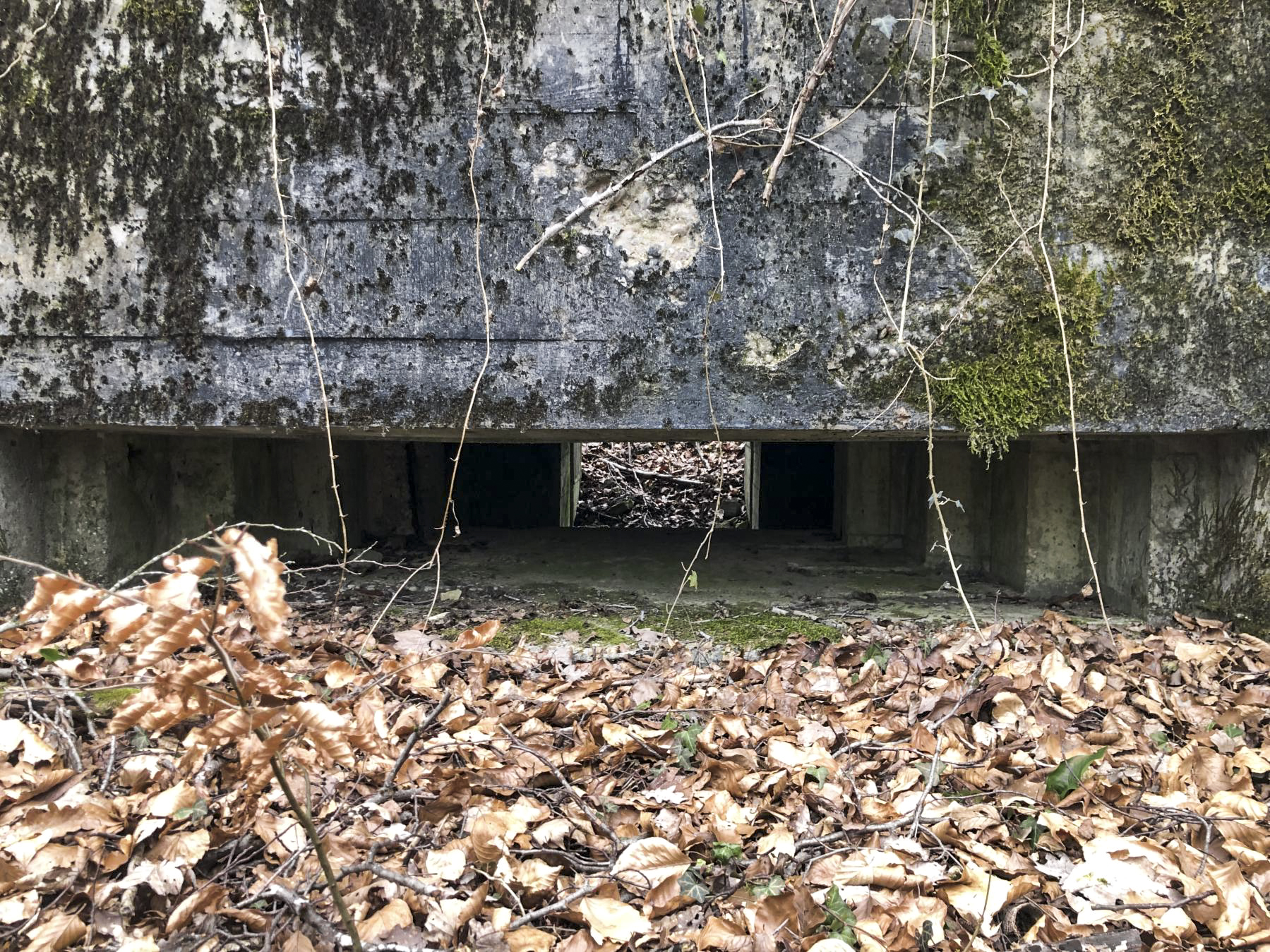 Ligne Maginot - Ab38 - BOIS de LAUDREFANG 6 (Blockhaus pour canon) -  - Claude Zimmermann 