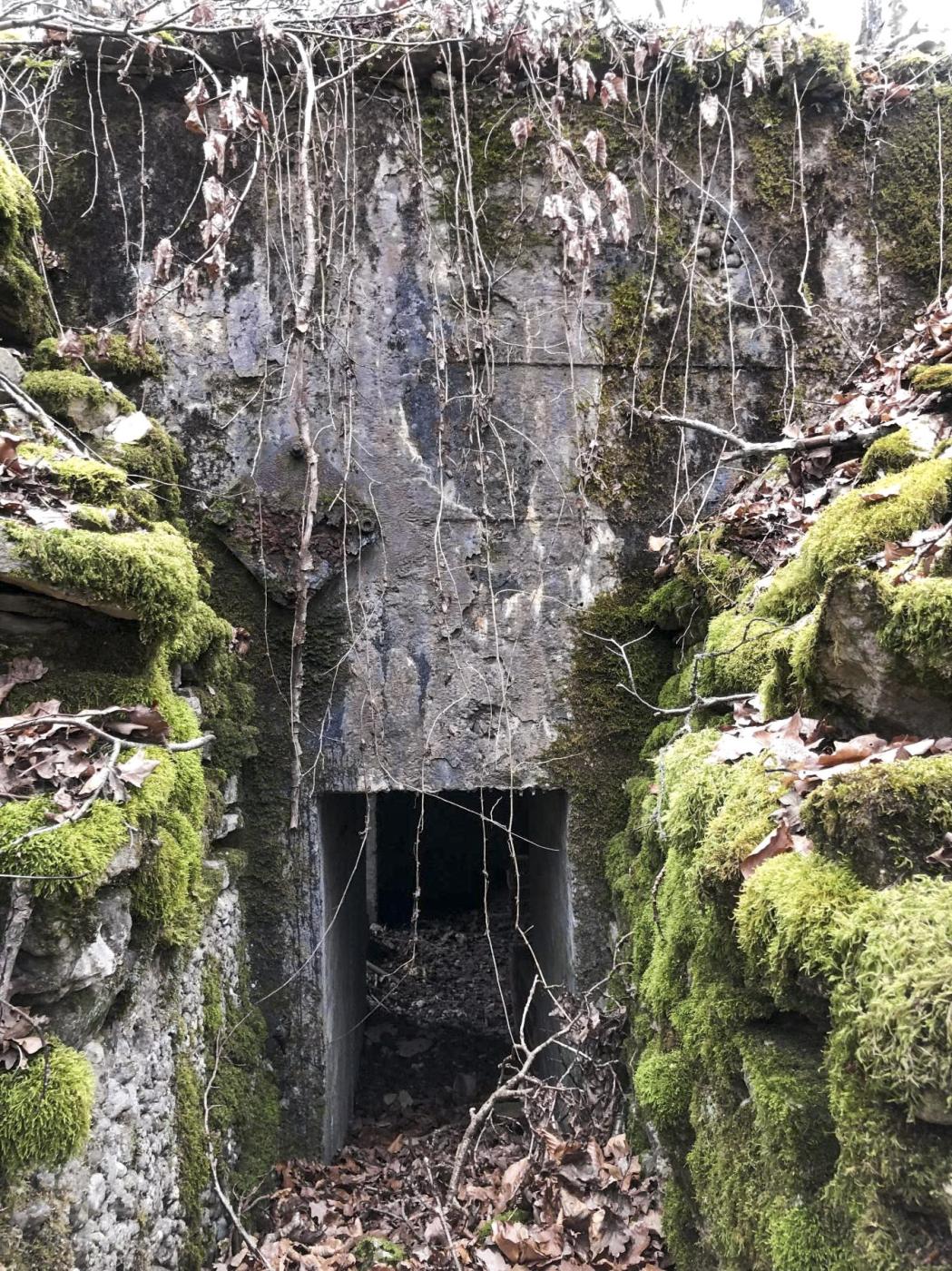 Ligne Maginot - Ab38 - BOIS de LAUDREFANG 6 (Blockhaus pour canon) -  - Claude Zimmermann 