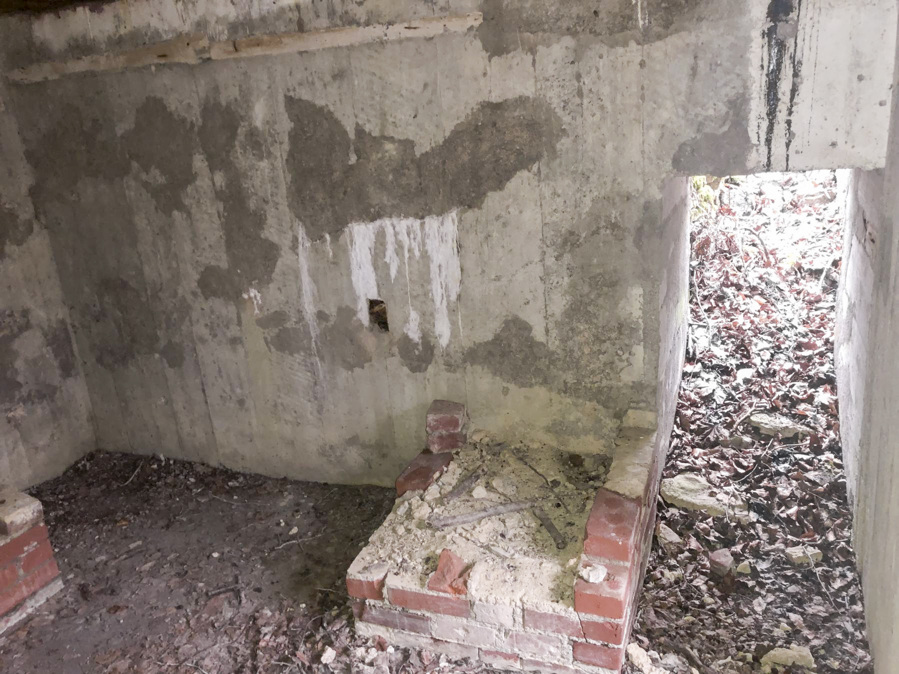 Ligne Maginot - Ab38 - BOIS de LAUDREFANG 6 (Blockhaus pour canon) -  - Claude Zimmermann 