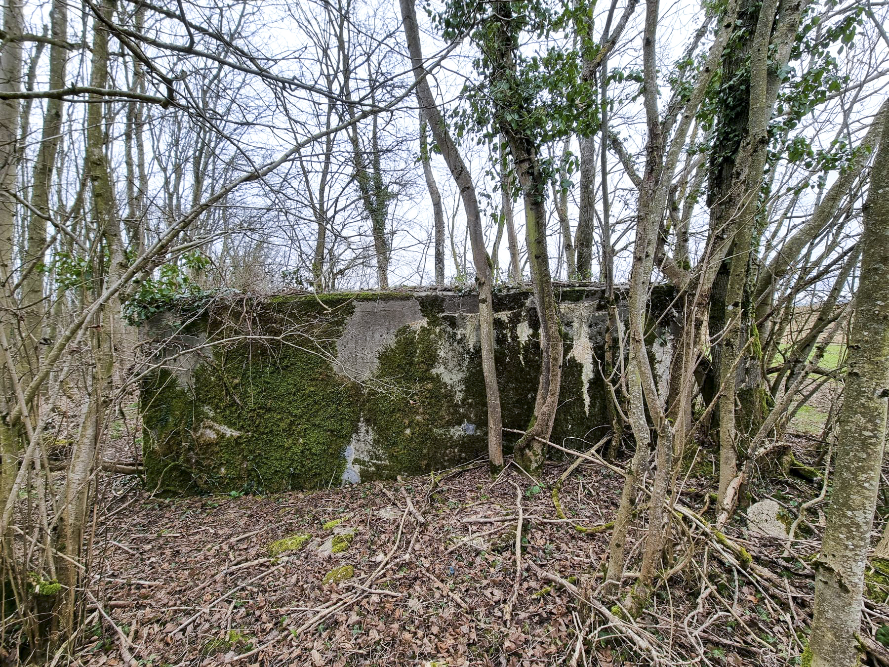 Ligne Maginot - BOIS DE PONTPIERRE NORD - (Blockhaus pour arme infanterie) - Mur latéral droit du blockhaus  - DK_Antoine4