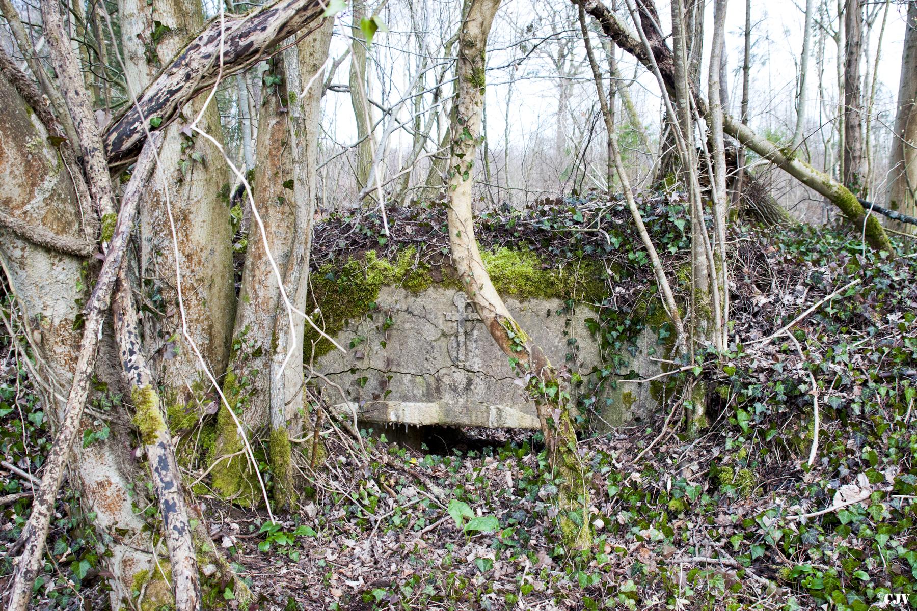 Ligne Maginot - DAUGBERT (Blockhaus pour arme infanterie) - Creneau - Lia VERMEULEN