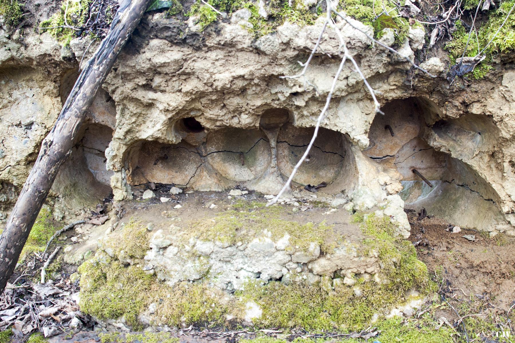 Ligne Maginot - DAUGBERT (Blockhaus pour arme infanterie) - Les marques laissées par les rondins qui servaient de toiture - Lia VERMEULEN