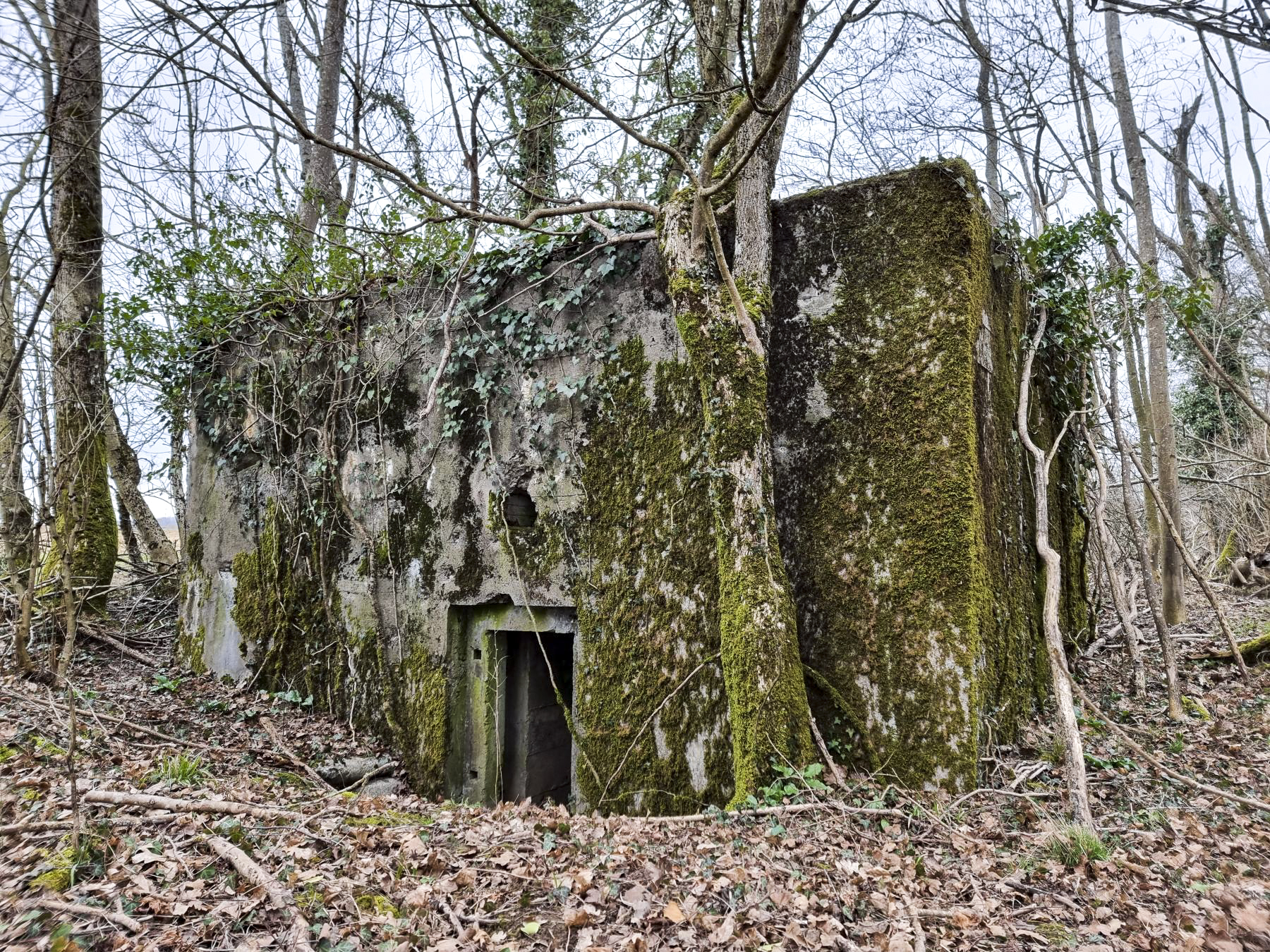 Ligne Maginot - BOIS DE PONTPIERRE NORD - (Blockhaus pour arme infanterie) - Mur latéral gauche du blockhaus et l'entrée - DK_Antoine4