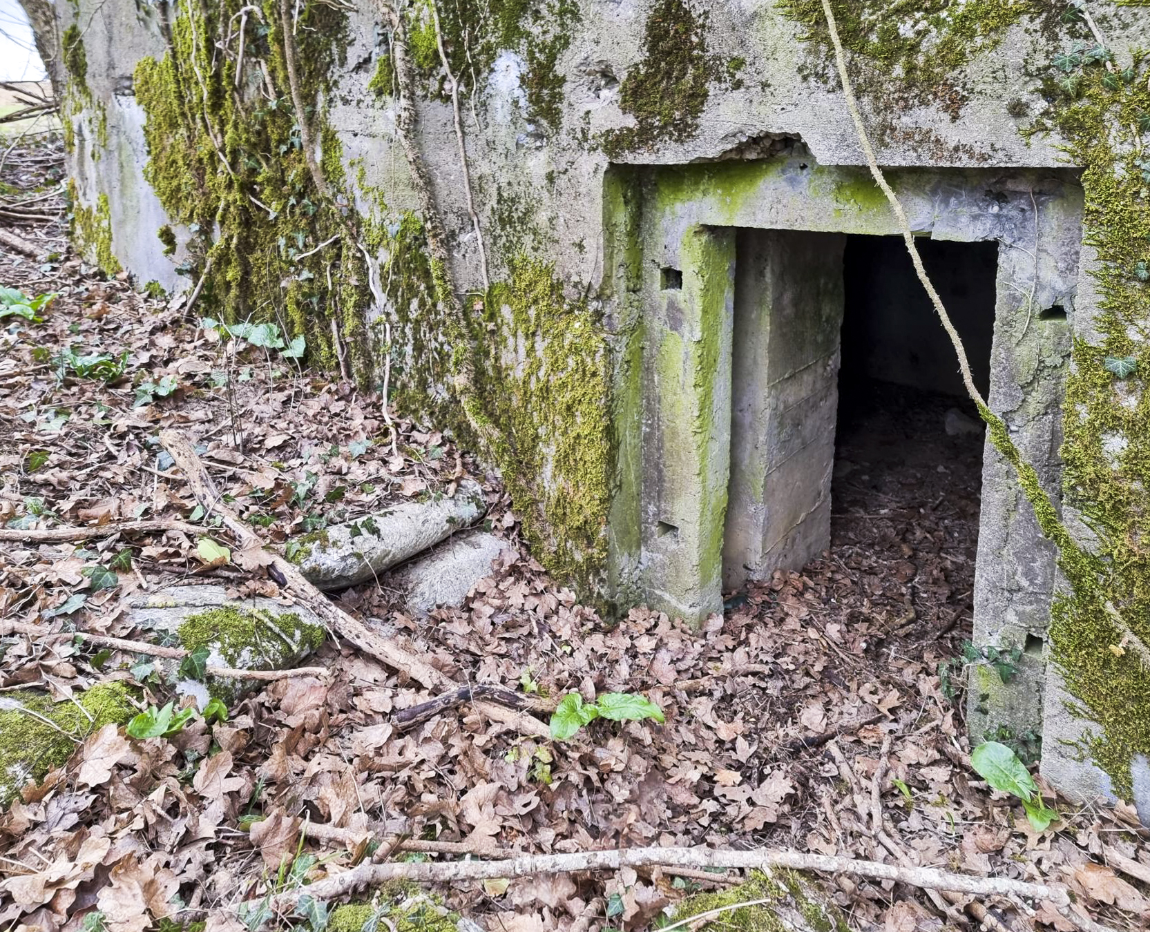 Ligne Maginot - BOIS DE PONTPIERRE NORD - (Blockhaus pour arme infanterie) - L'entrée du blockhaus. 
Notez les réservations prévus pour la porte blindée, ainsi que les sacs de ciment entassés pour servir de soutien à l'accès depuis la tranchée.  - DK_Antoine4