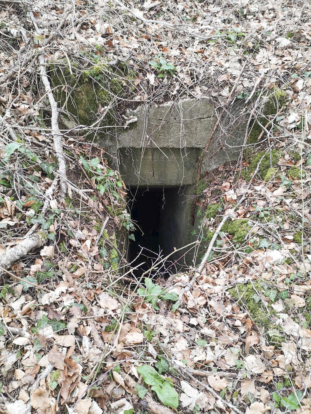 Ligne Maginot - LE SART - (PC de Quartier) - Entrée de gauche - beb08