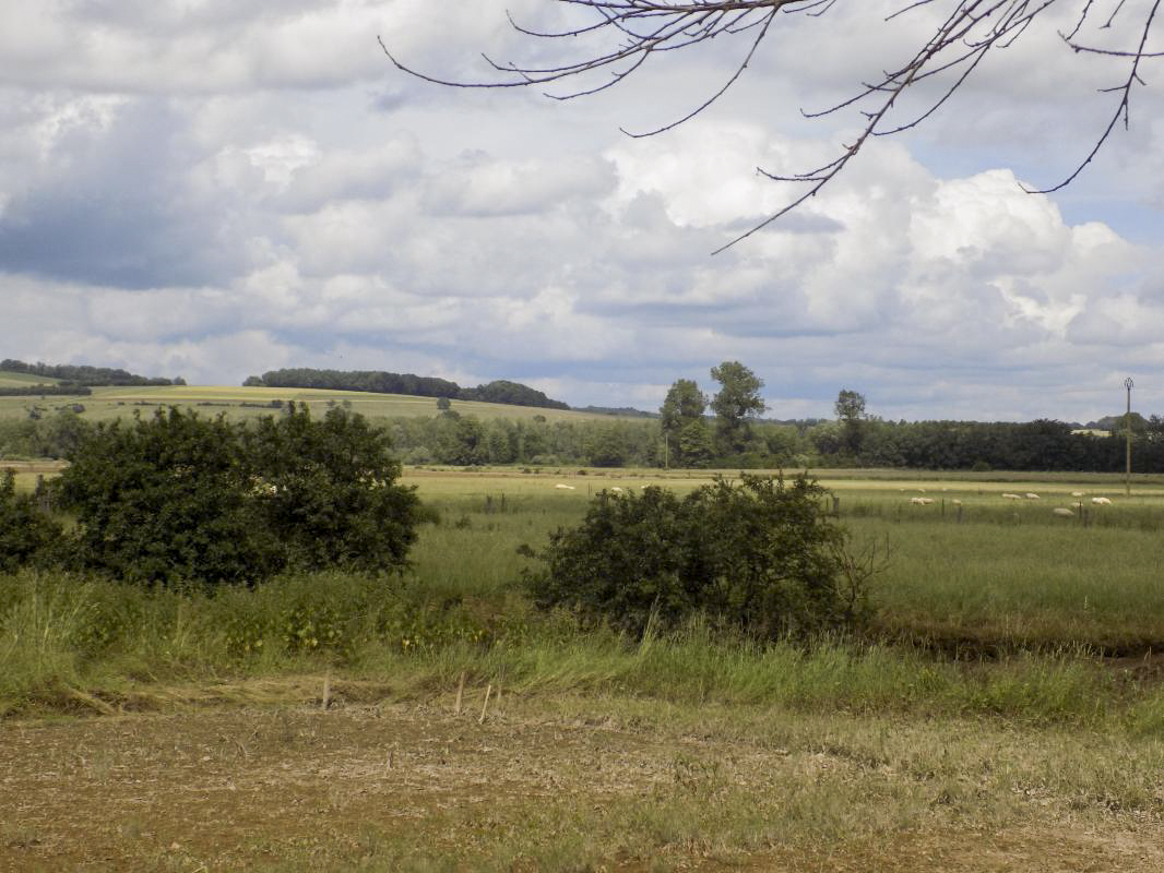 Ligne Maginot - B7 - LA FERTE EST - (Blockhaus pour arme infanterie) - Vue vers le nord - R Tucker