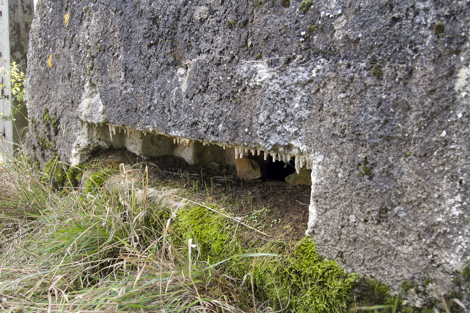 Ligne Maginot - LE CUGNET - (Blockhaus pour arme infanterie) - Gros plan du créneau