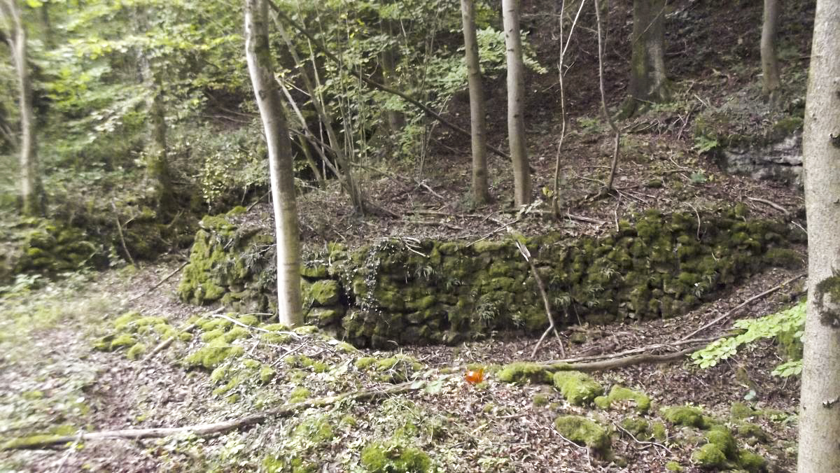 Ligne Maginot - LES FOLIES (IIE BON / 155° RIF) - (PC de Quartier) - Vue reculée du chemin d'accès au deux entrées, à gauche la chambre de coupure, à droite le PC du II /155° RIF