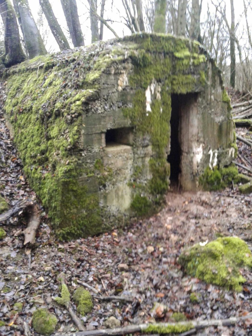 Ligne Maginot - LES OEUILLONS - (Abri) - Vue générale - Fabrice THOMASSIN