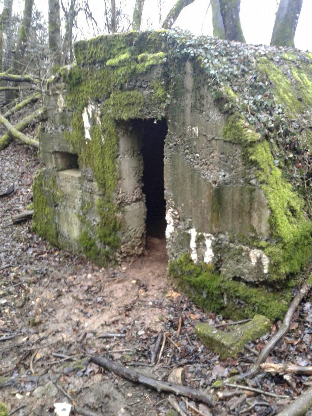 Ligne Maginot - LES OEUILLONS - (Abri) - Vue générale - Fabrice THOMASSIN