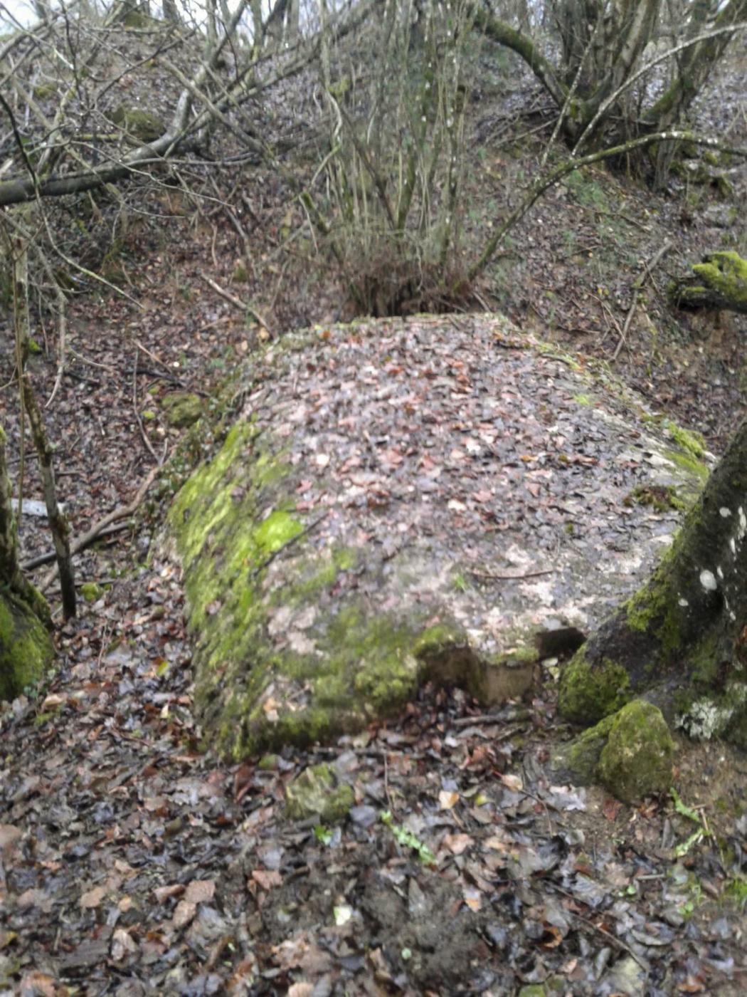 Ligne Maginot - LES OEUILLONS - (Abri) - Vue de la toiture de l'abri. - Fabrice THOMASSIN