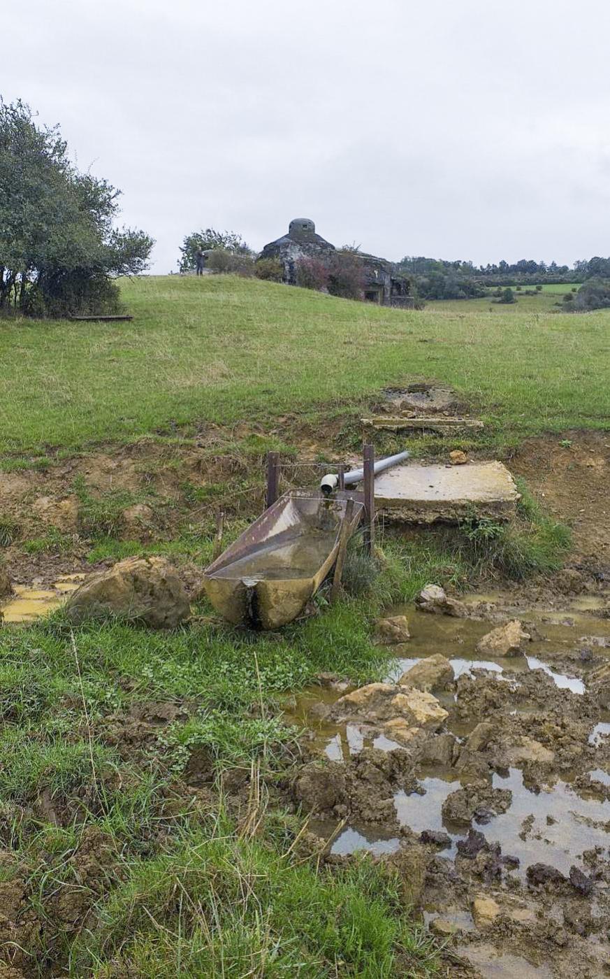 Ligne Maginot - MARGUT - (Casemate d'infanterie - Simple) - Débouché de l'égout...servant aujourd'hui d'abreuvoir